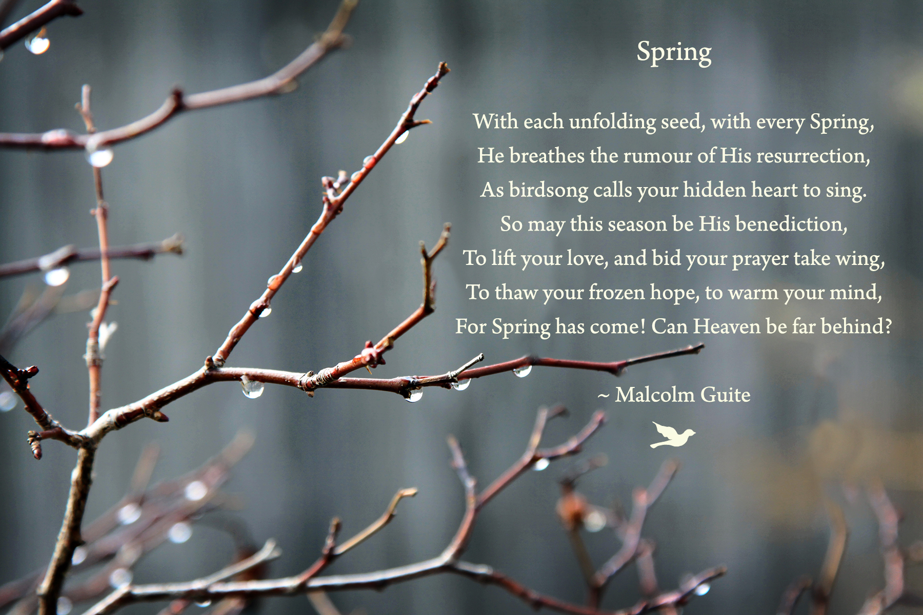 A Spring Benediction and a blessing for new beginnings and for